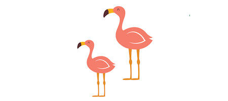 Flamingos