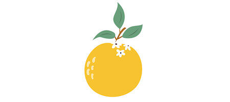 Oranges